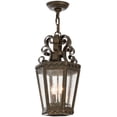thumbnail image 1 of Meyda Lighting 10'W Cadenza Pendant, Gilded Tobacco/Clear Seedy Glass - 120289, 1 of 5