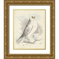 thumbnail image 1 of Meyer, H.L. 12x14 Gold Ornate Wood Framed with Double Matting Museum Art Print Titled - Meyer Snowy Owl, 1 of 4