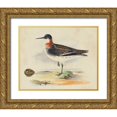 thumbnail image 1 of Meyer, H.L. 14x12 Gold Ornate Wood Framed with Double Matting Museum Art Print Titled - Meyer Shorebirds II, 1 of 4