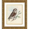 thumbnail image 1 of Meyer, H.L. 15x18 Gold Ornate Wood Framed with Double Matting Museum Art Print Titled - Meyer Little Owl, 1 of 4