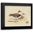 thumbnail image 1 of H.L. Meyer 18x15 Black Modern Wood Framed Wall Art Titled - Meyer Shorebirds V, 1 of 5