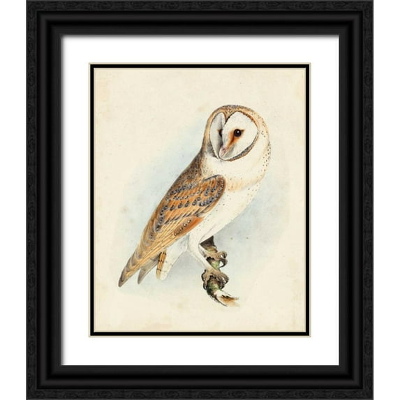 Meyer, H.L. 20x24 Black Ornate Wood Framed with Double Matting Museum Art Print Titled - Meyer Barn Owl