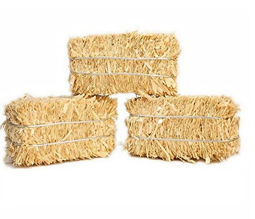 Meyer Imports Mini Hay Bales - Small - (Pack of 12) Small Decorative Hay –  for Craft/Dollhouse/Farm/Halloween/Table Decoration - 2.5 x 1 Inches Each