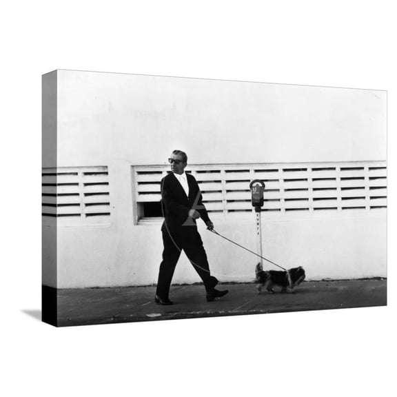 Meyer Lansky Walking Bruzzer on Miami Beach, 1979, Animals Figurative Stretched Canvas Wall Art Sold by Art.Com