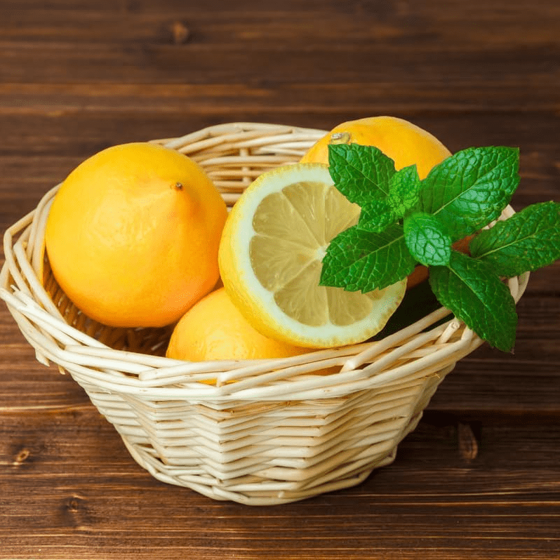 Meyer Lemon Plant Live for Planting, Citrus Plant Fragrant Lemons, Meyer Lemon Bush, 2 to 3 Inch Tall