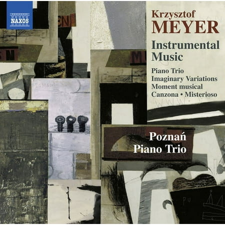 Meyer / Poznan Piano Trio - Meyer: Instrumental Music - Music & Performance - CD