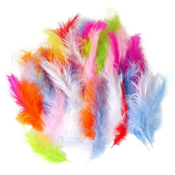 Mfigree 50 Pieces Set Natural Colourful DIY Feather Craft Toy Creative Natural Animal Feather Manual DIY Material Decoration Toy For Kids, Christmas Stocking Stuffers Birthday Gifts