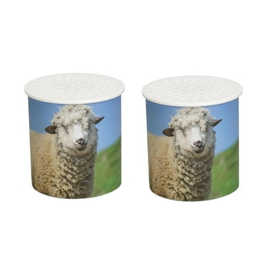 Mfigree Cute Sheep In Box, Sheep Sound Noise Maker Toy, Sheep Barking Animal Inverted Sound Box Animal Sound Maker Toy, Screaming Goat Desk Toy, Xmas Stocking Stuffers Gift for Kids