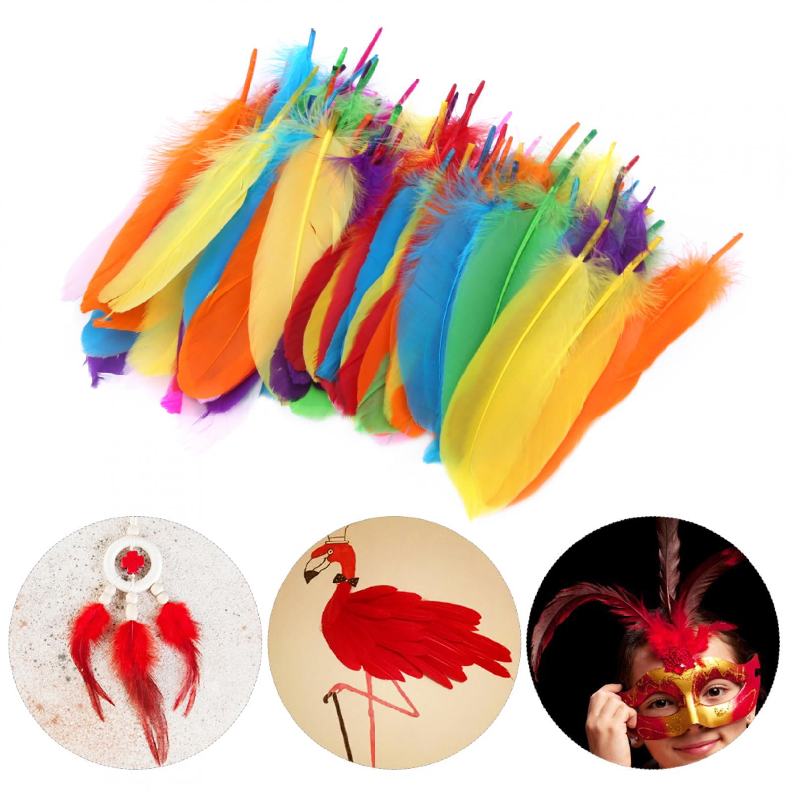 Mgaxyff 100PCS Colored Feathers DIY Material Paste Decoration Children  Kindergarten Handicrafts Handmade Art Supplies 