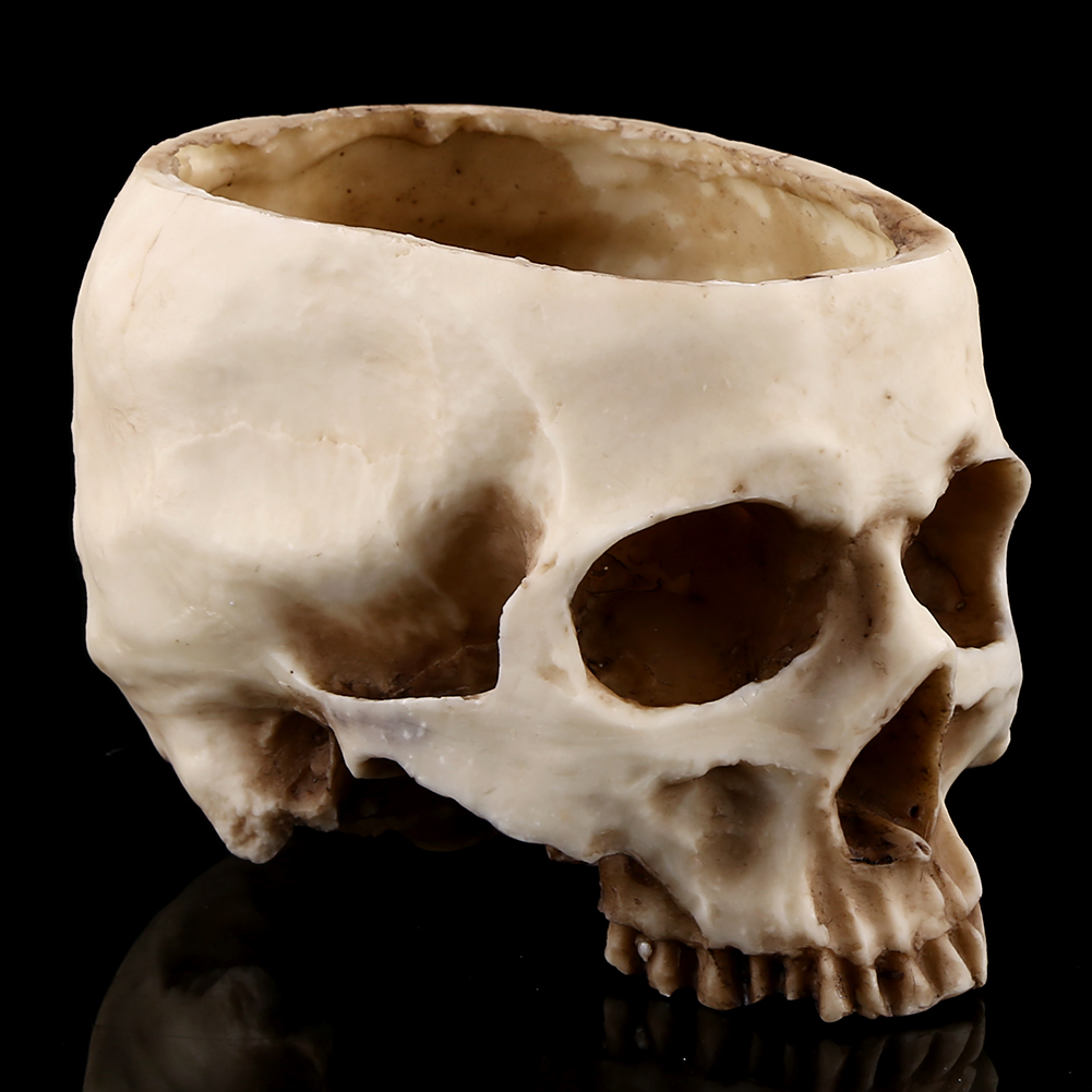 Mgaxyff Skull Plant Pot,1pc Resin Skull Head Design Flower Pot Planter Container Decoration - image 1 of 8
