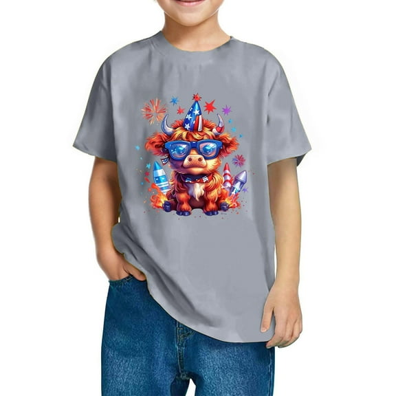 Mgmyaa Boys and Girls Short Sleeve T-Shirt Kids Crewneck Loose Fit Summer T-Shirt Tops Independence Day 3-10 Years