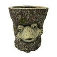 thumbnail image 1 of Mgo Faux Wood Frog Planter, Multi Color, 1 of 1
