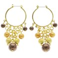 thumbnail image 1 of Mi Amore Drop-Dangle-Earrings Gold-Tone/Brown, 1 of 4