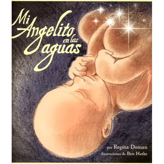 Pre-Owned Mi Angelito En Las Aguas (Paperback)
