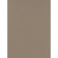 thumbnail image 1 of Mi-Teintes Mat Board felt gray, 16 in. x 20 in. (pack of 5), 1 of 1