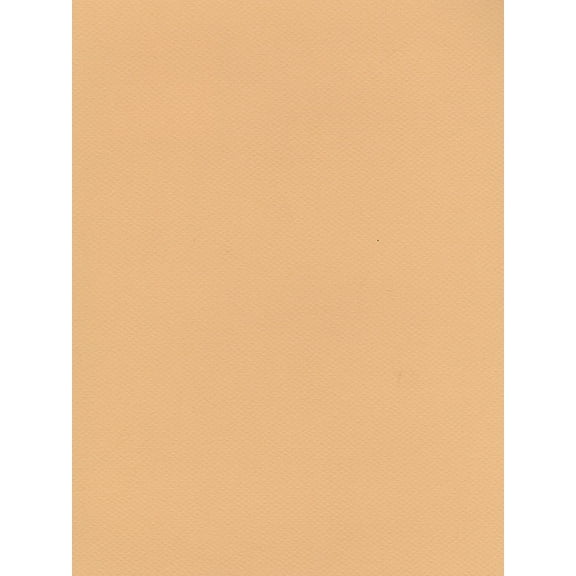 Mi-Teintes Tinted Paper green, 8.5 in. x 11 in. (pack of 25)