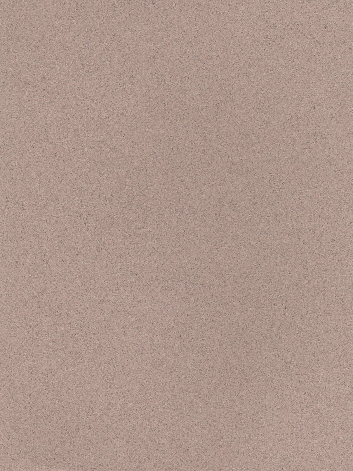 Mi-Teintes Tinted Paper moonstone, 8.5 in. x 11 in. (pack of 25 ...