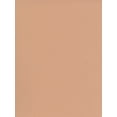 thumbnail image 1 of Mi-Teintes Tinted Paper oyster, 19 in. x 25 in. (pack of 10), 1 of 1