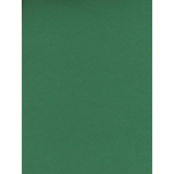 Mi-Teintes Tinted Paper viridian, 8.5 in. x 11 in. (pack of 25)