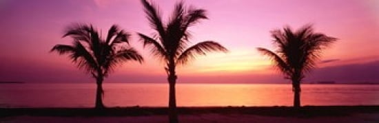 Miami Beach Florida USA Canvas Art - Panoramic Images (36 x 12)