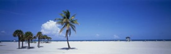 Miami FL USA Canvas Art - Panoramic Images (36 x 12)