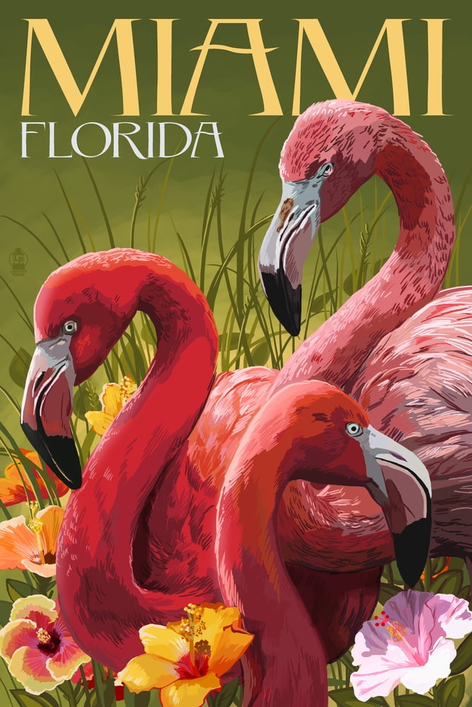 Miami, Florida, Flamingos (9x12 Wall Art Print, Home Decor)