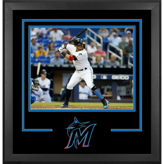 Miami Marlins Deluxe 16" x 20" Horizontal Photograph Frame