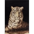 thumbnail image 1 of Miami Tiger Rug, Black - 5 ft. x 7 ft., 1 of 1