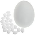 Miangastore 20 Solid Parrot Plastic Eggs for Hatching & Nesting Birds