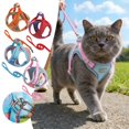 thumbnail image 1 of Miaoju Cat Harness and Leash Set for Outdoor Travel Walking Escape Proof Soft Safe Adjustable Kitten Puppy Small Strap, 1 of 5