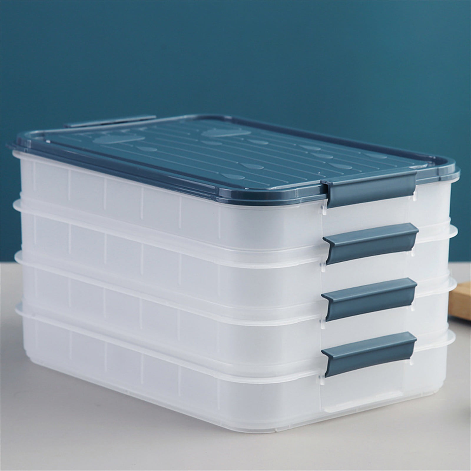 Miayilima Storage Rack Cold Food Boxes for Fridge Sausage Storage ...