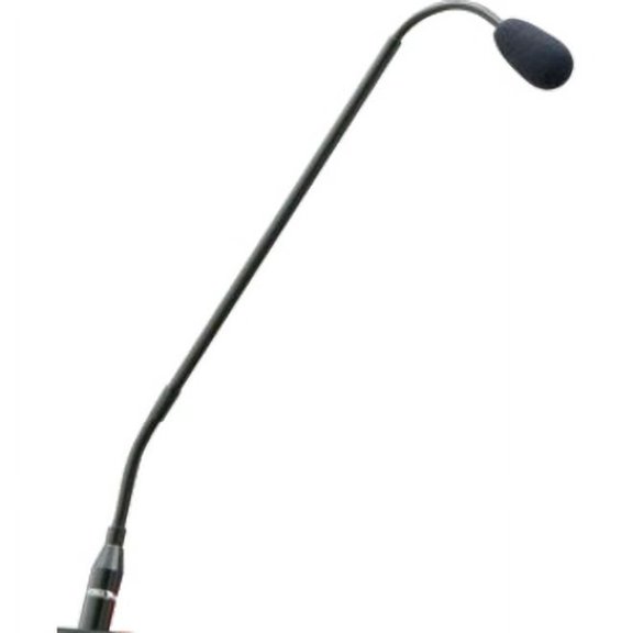 Mic with 15' Extension Cord