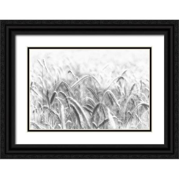 Michael 32x23 Black Ornate Wood Framed with Double Matting Museum Art Print Titled - Corn