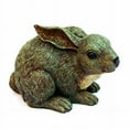 thumbnail image 1 of Michael Carr 511013GY Baby Rabbit, 1 of 1
