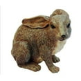 thumbnail image 1 of Michael Carr Designs 8" Junior Rabbit Garden Statue, 1 of 2