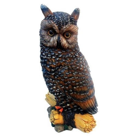 Michael Carr Designs MCD507013B Owl Medium