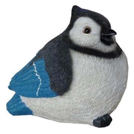 Michael Carr Fat Blue Jay