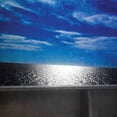 thumbnail image 1 of Michael Feuerstack - Forgettable Truth - Vinyl, 1 of 1