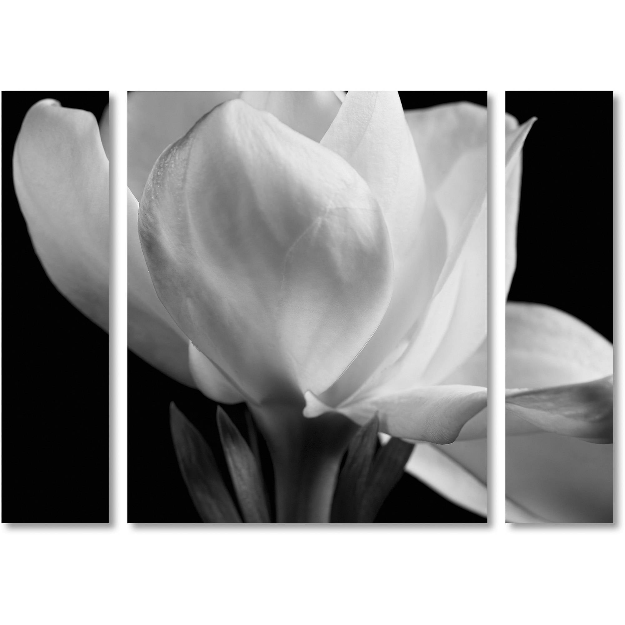 Michael Harrison 'Gardenia' Multi Panel Art Set Small