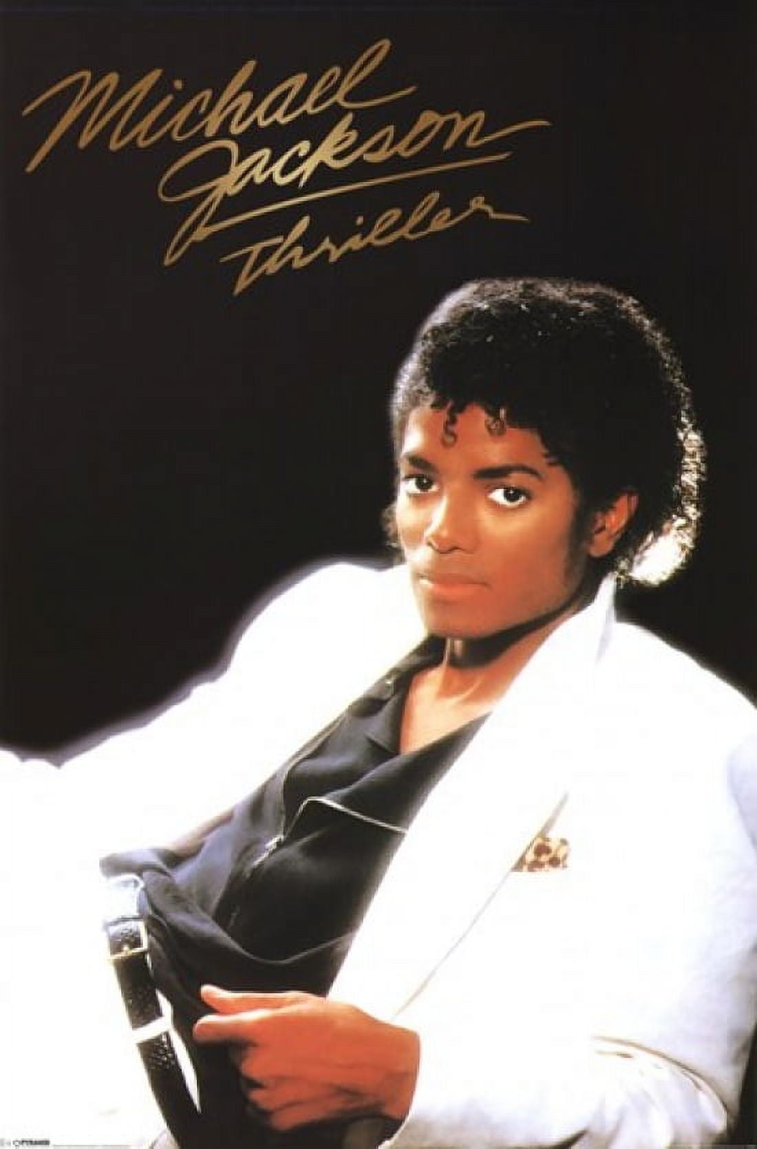 Michael Jackson - Thriller Album Poster (24 x 36)