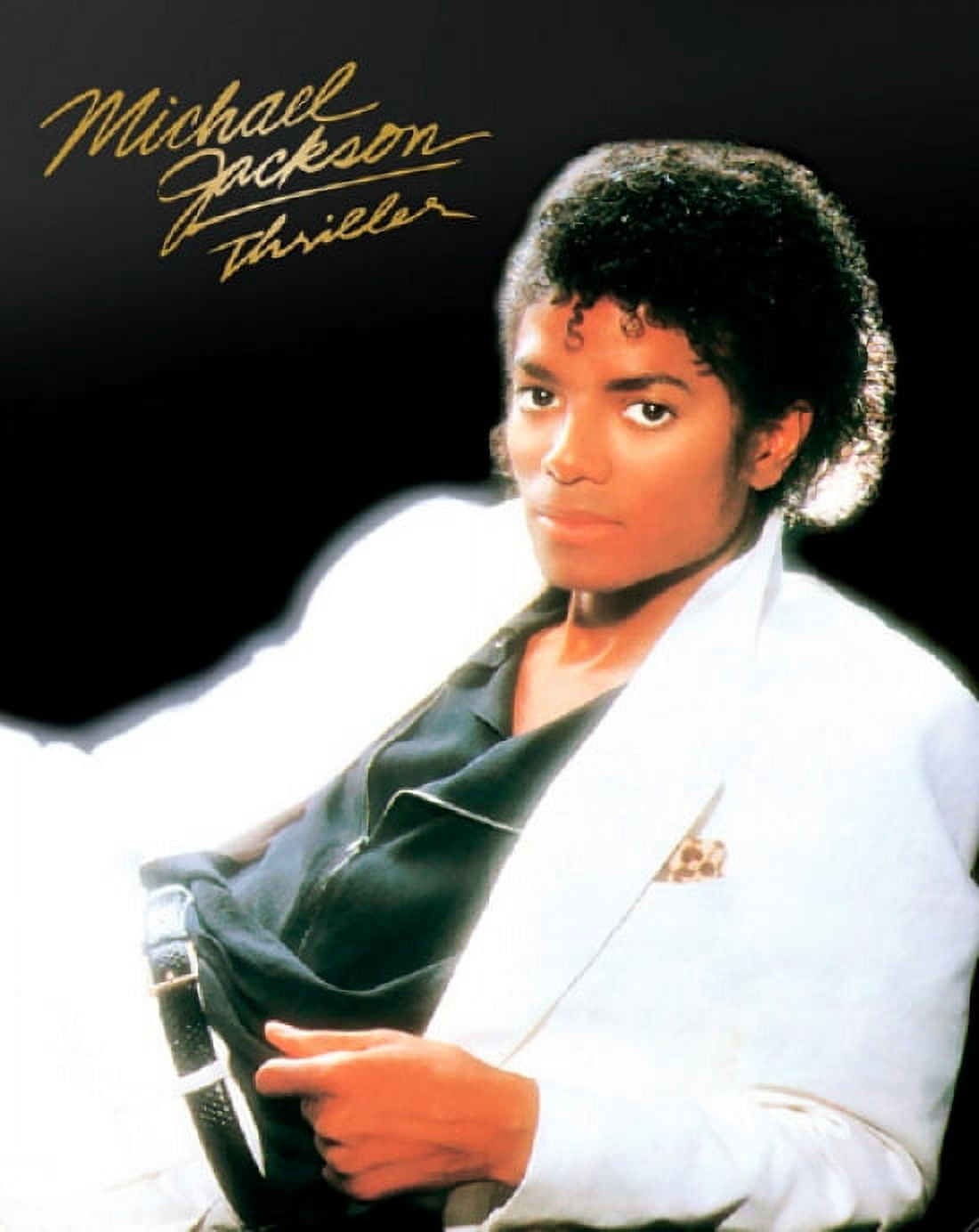 Michael Jackson - Thriller Poster (16 x 20)