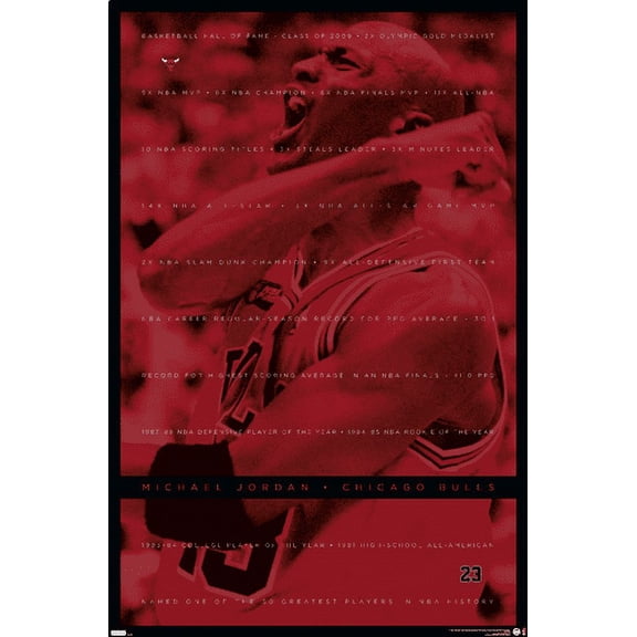 Michael Jordan - Achievements Wall Poster, 14.725" x 22.375"