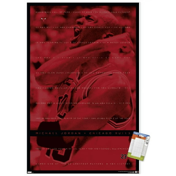 Michael Jordan - Achievements Wall Poster, 14.725" x 22.375"