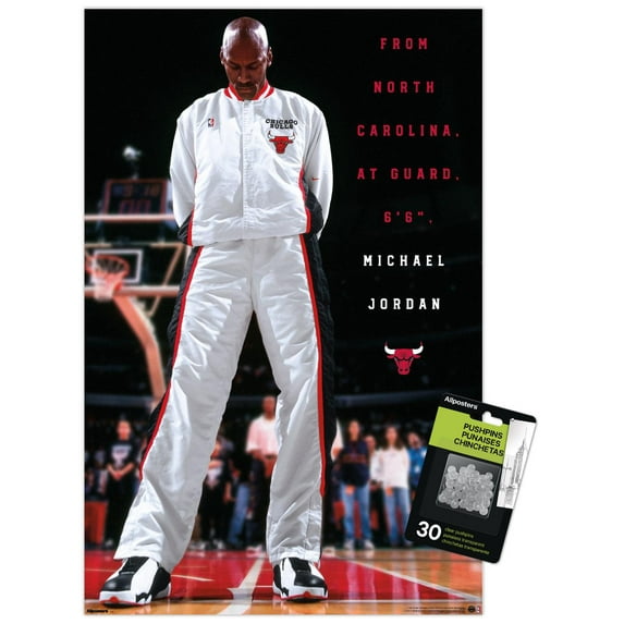 Michael Jordan - Chicago Bulls Introduction Wall Poster with Push Pins, 14.725" x 22.375"
