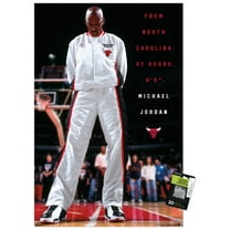 Michael Jordan - Chicago Bulls Introduction Wall Poster with Pushpins, 22.375" x 34"