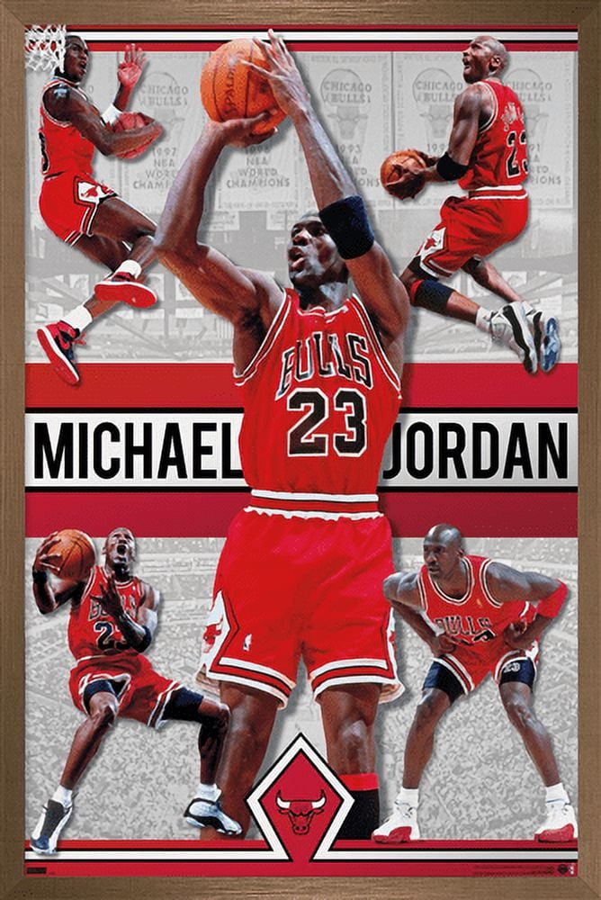 Michael Jordan Chicago Bulls 24.25'' x 35.75'' Framed Player Collage Poster