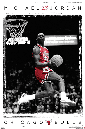 mj air jordan dunk