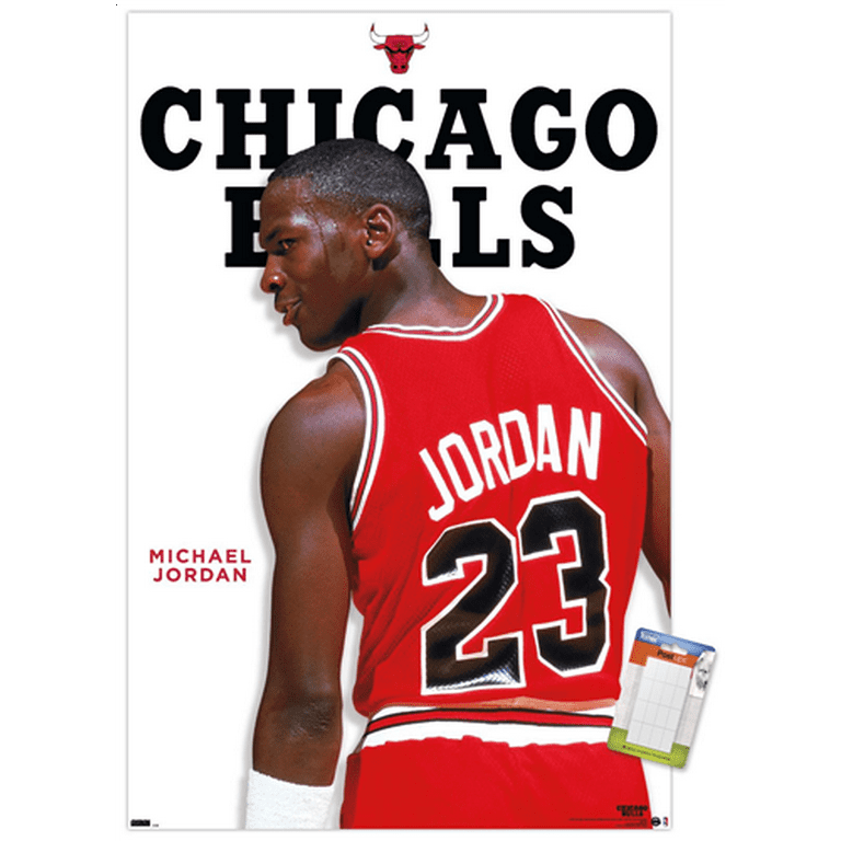 Michael Jordan Feature Series Wall Poster, x 34