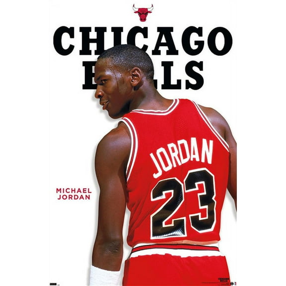 Michael Jordan - Feature Series Wall Poster, 22.375" x 34"