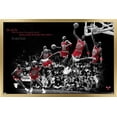 thumbnail image 1 of Michael Jordan - Fly Wall Poster, 14.725" x 22.375", Framed, 1 of 3